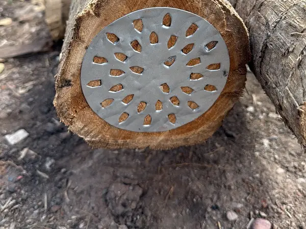 Tora de teca com chapa metálica aplicada no topo