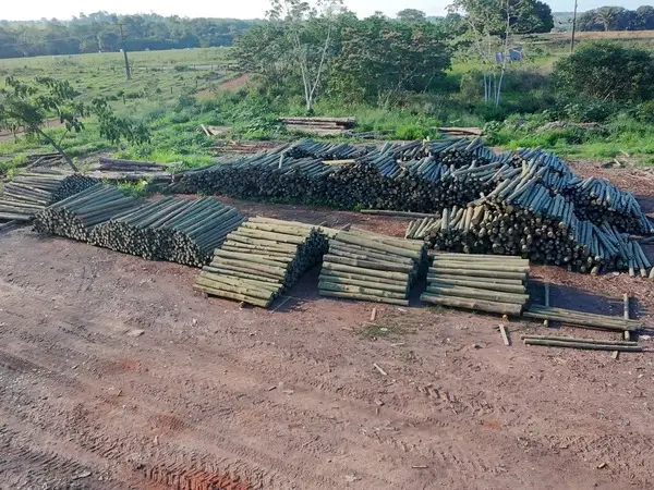 Pilhas de palanques tratados prontos para comercialização